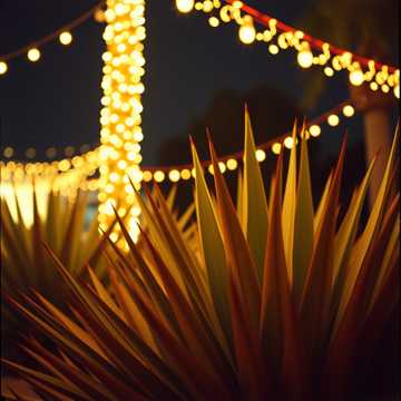 La gran fiesta del mezcal