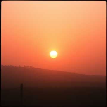 Letizia (Light of the Morning)