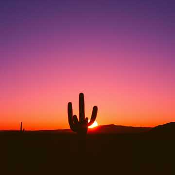 Eternal Desert Sky