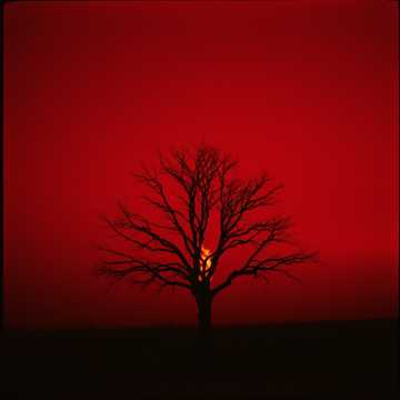 EDEN shall burn