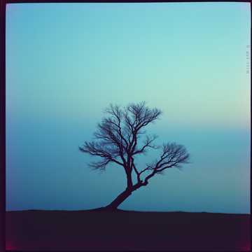 Fading Echoes
