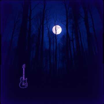 Shadows of the Night