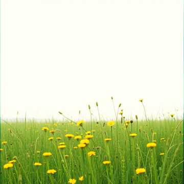 Breeze