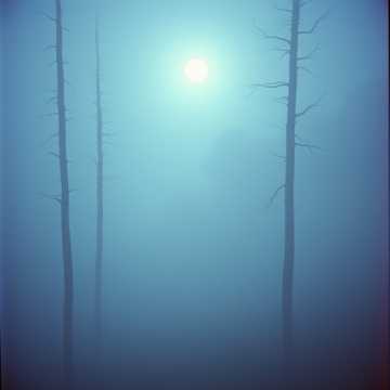 Echoes of Your Voice