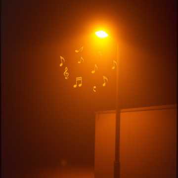 Heartbeats in the Dark