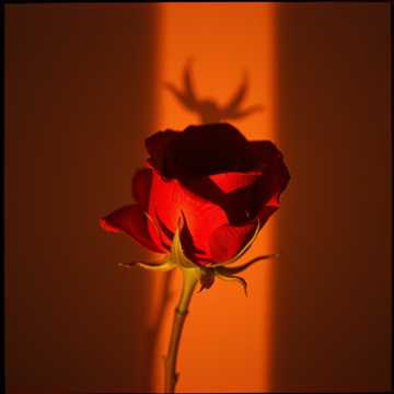 L’Amour, ce traître