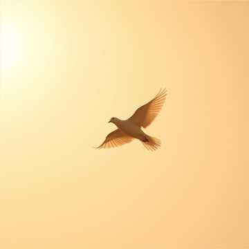 Peace through Christ