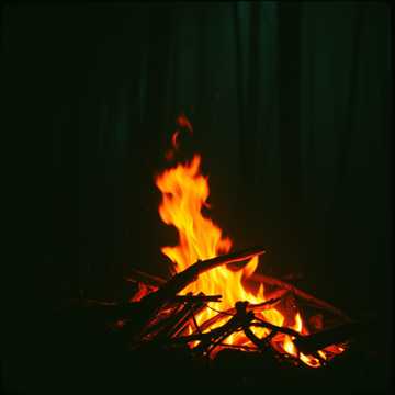 Wildfires