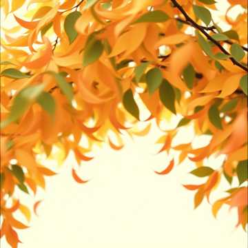 Whistle the Wind