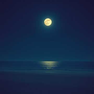 Moonlit Tango