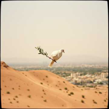 From Sana’a to Gaza