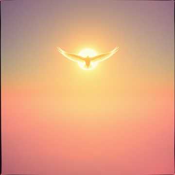 Wings of light
