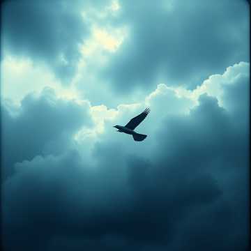 Turbulence in the Sky