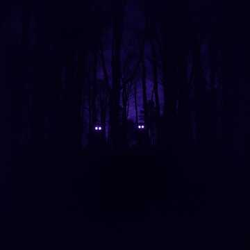 Phonk 247
