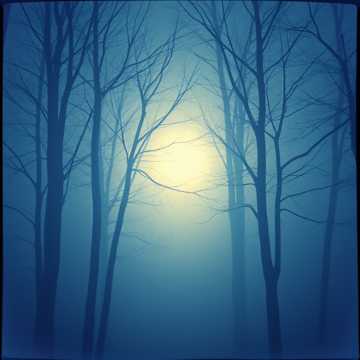 Whispers in the Fog