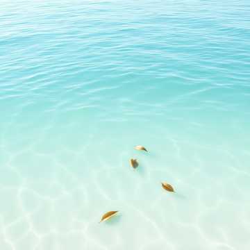 Ocean Stillness