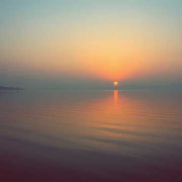 Bin Tere