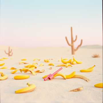 Banana Peels & Holy Deals