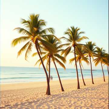 Miami Breeze