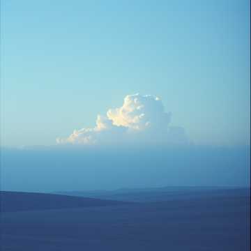 Moonlit Reverie