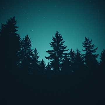 Whispering Pines