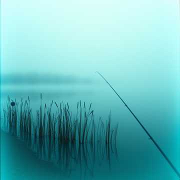 Zwischen Schilf und Stille 