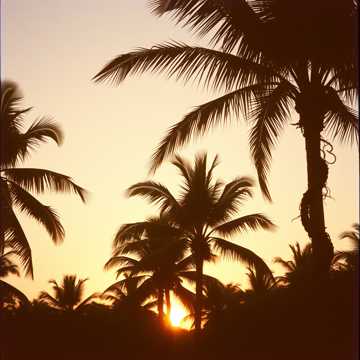 Pour Toi et Moi