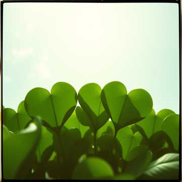 Your heart your life