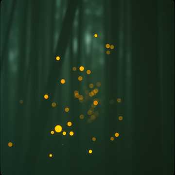 Whispers in the Dark