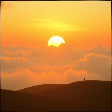 Don't Forget to Love the Day