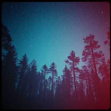 Under the Solstice Sky
