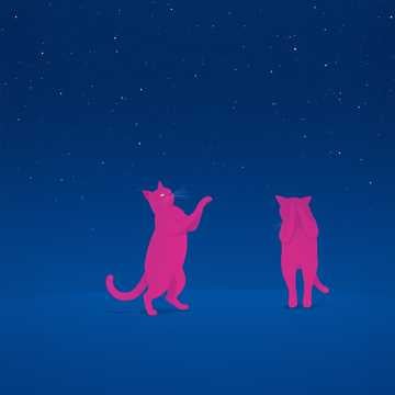 CAT BOY WHISKERS AND CAT GIRL SKY: RASPBERRY CAT COUPLE