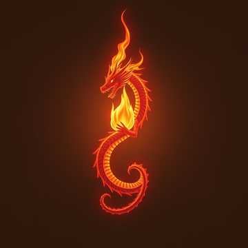 Flame and Shadow