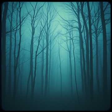In the Silence