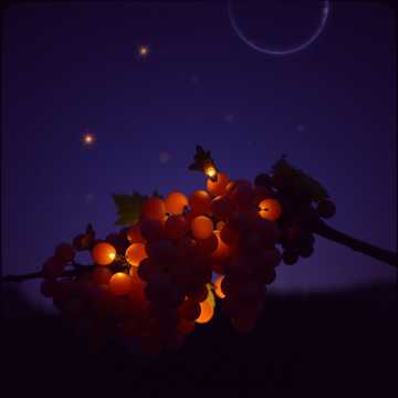 Parfum de vin 