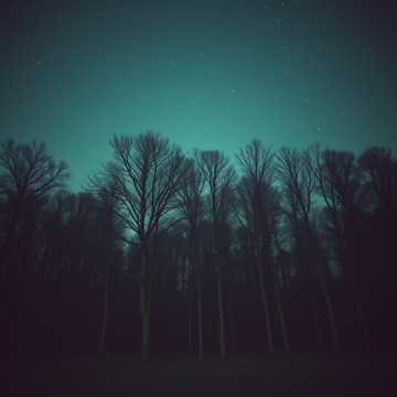 Twin Trees