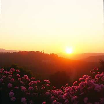 Test11
