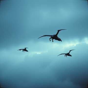 Skybeasts of Fury
