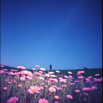 نور عيوني