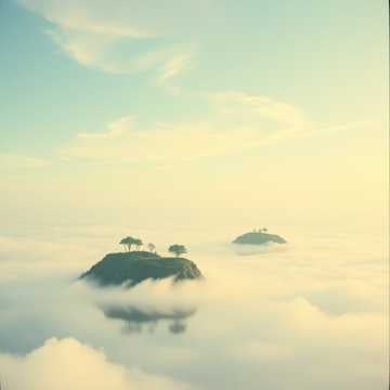 Lucid Escape