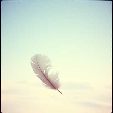 Falling Slowly