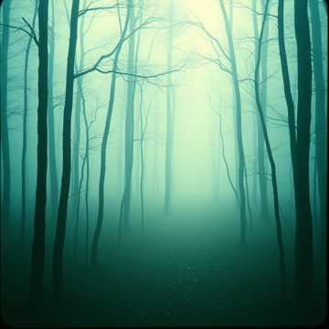 Whispering Echoes
