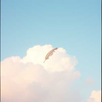 The Wind’s Passenger
