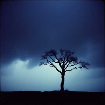 The Gallows Call