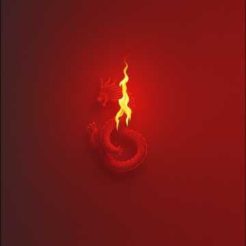 Flame and Shadow