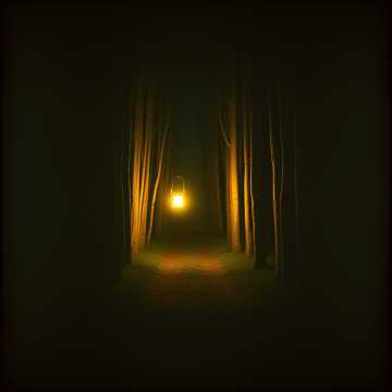 Follow the Light