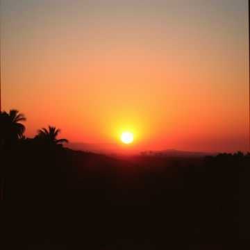 Sunshine in My Step