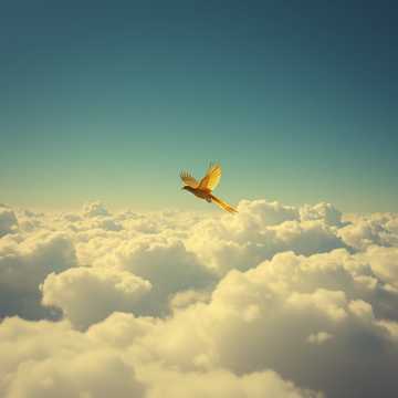 Rise Above It All
