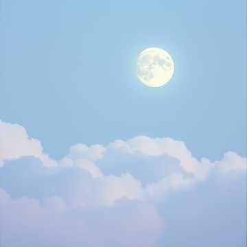 Moonlit Whispers