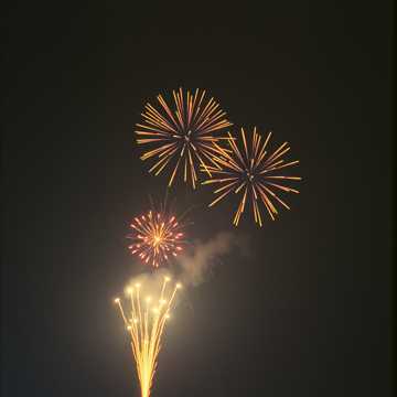 Magia